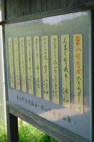 屋外の掲示板に並ぶ、俳句を書いた短冊