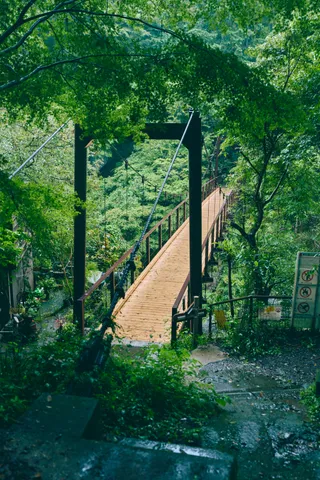 撮影した風景写真