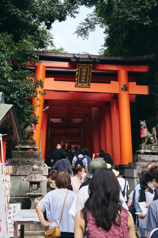 鳥居のトンネルへ入っていく参拝客の列