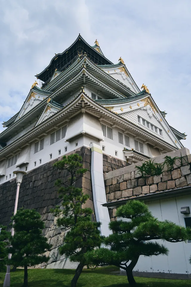 高い石垣の上にそびえる天守を見上げた姿と、手前の松