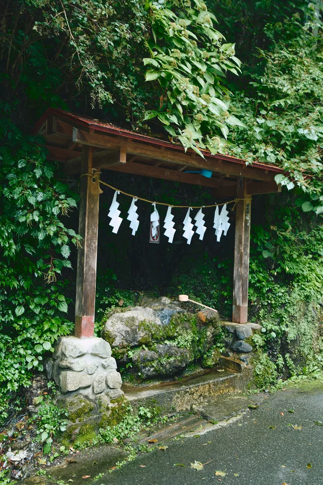 撮影した風景写真