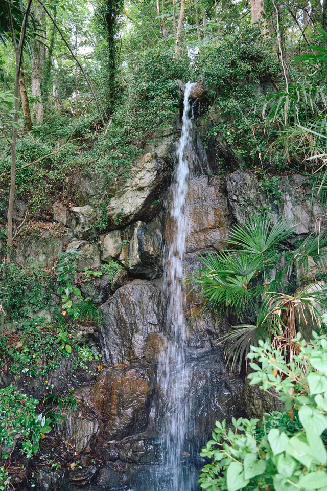 苔むした岩肌を細く流れ落ちる滝