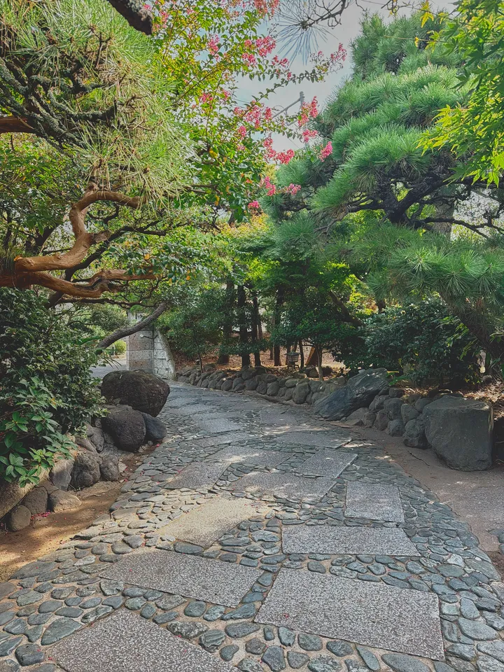 松と百日紅にはさまれた、日本庭園の石畳の小径