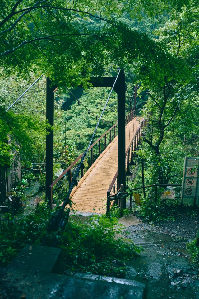 撮影した風景写真